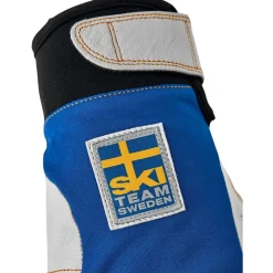 Hestra Ergo Grip Active, skihandsker, blå/gul
