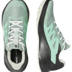 Salomon Alphaglide GTX, løbesko, dame, grøn/grå