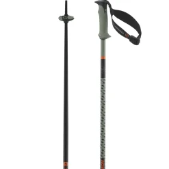 Salomon Polar Pro S3, skistave, grøn