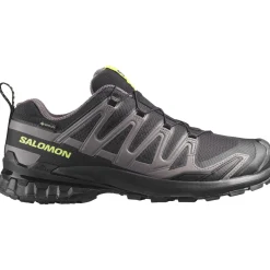 Salomon XA PRO 3D V9 GTX, trailsko, herre, sort/grøn