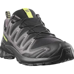 Salomon XA PRO 3D V9 GTX, trailsko, herre, sort/grøn