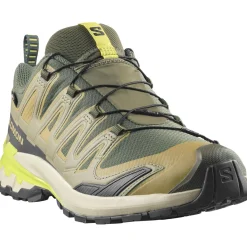 Salomon XA PRO 3D V9 GTX, trailsko, herre, grøn