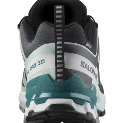 Salomon XA Pro 3D V9 GTX, trailsko, dame, grå/lyseblå