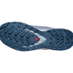 Salomon XA PRO 3D V9 GTX, trailsko, dame, grå/blå