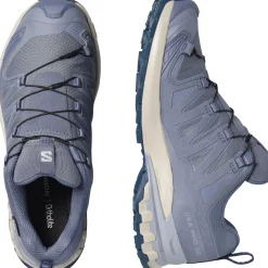 Salomon XA PRO 3D V9 GTX, trailsko, dame, grå/blå