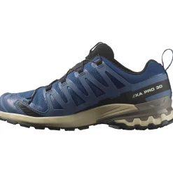 Salomon XA Pro 3D V9 GTX, trailsko, herre, blå