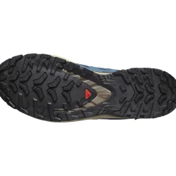 Salomon XA Pro 3D V9 GTX, trailsko, herre, blå