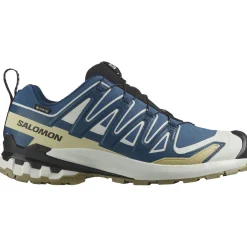 Salomon XA Pro 3D V9 GTX, trailsko, herre, blå
