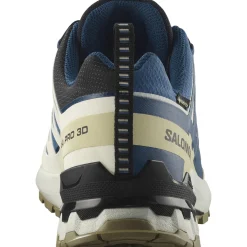 Salomon XA Pro 3D V9 GTX, trailsko, herre, blå