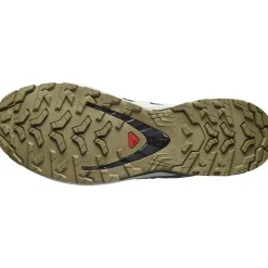 Salomon XA Pro 3D V9 GTX, trailsko, herre, blå