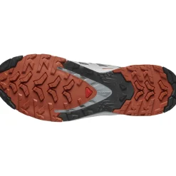 Salomon XA Pro 3D V9, trailsko, herre, grå/rød
