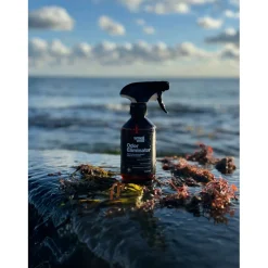 SmellWell Odor Eliminator Spray, 300ml